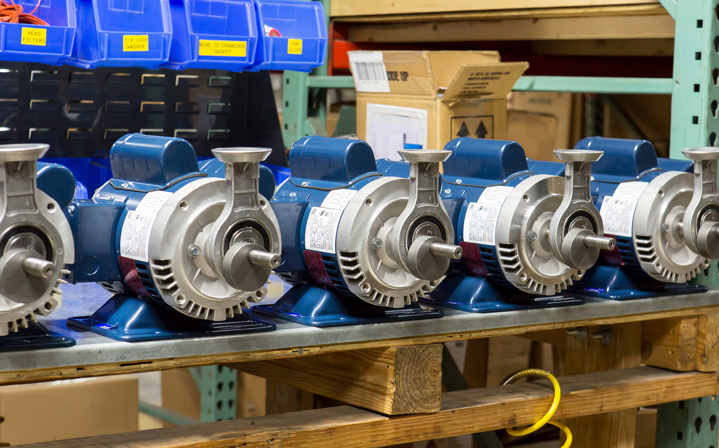 a row of blue and silver pumps are lined up on a shelf